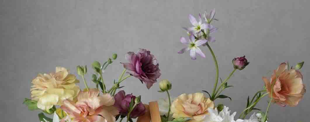 5月17日（土）ワークショップ